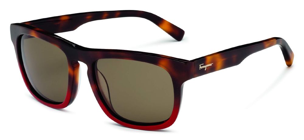 resized_SF789S_207- 1,250 AED