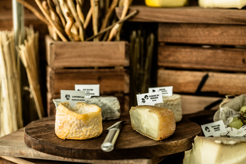 resized_VIDA Pavilion 03052014 133