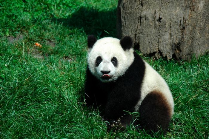 resized_bnatsoft.com1387590165789