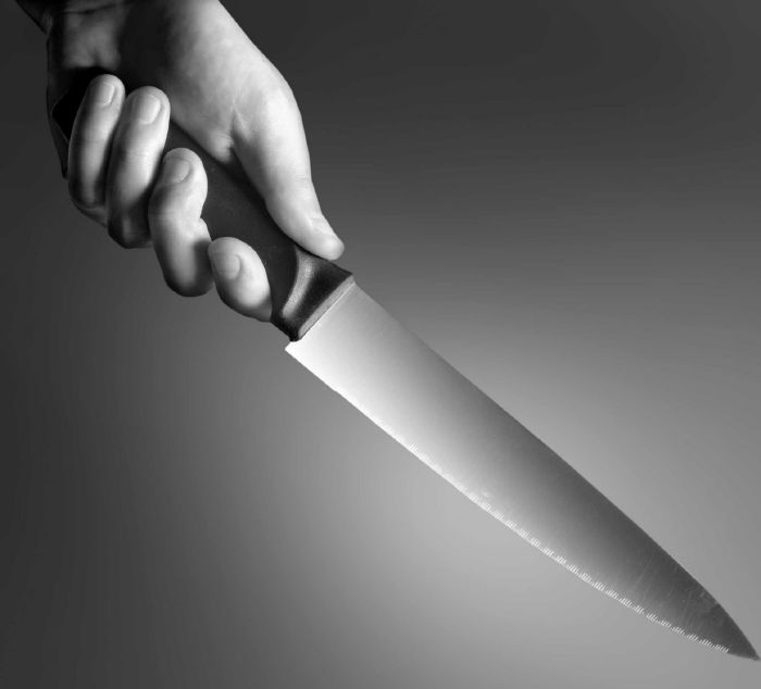 resized_chef_knife