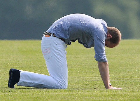 الأمير وليام (3)