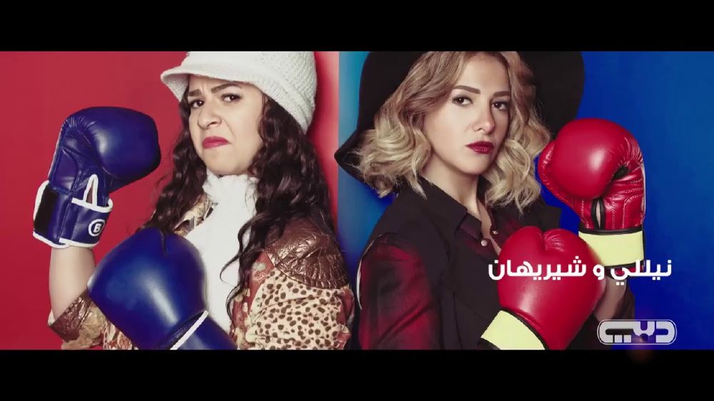 مسلسل نيللي وشريهان (3)