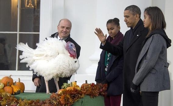 باراك أوباما يعفو عن ديك رومي في عيد الشكر