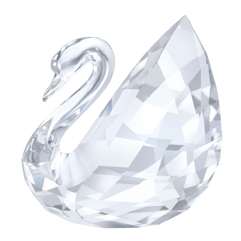 resized_resized_swan