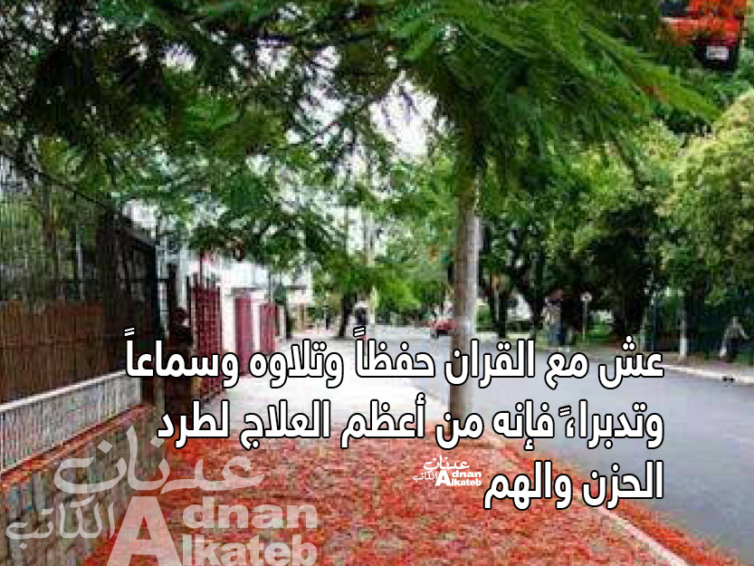 %d8%a3%d9%81%d8%b6%d9%84-%d8%a7%d9%84%d8%b9%d9%84%d8%a7%d8%ac-%d9%84%d8%b7%d8%b1%d8%af-%d8%a7%d9%84%d9%87%d9%85-%d9%88%d8%a7%d9%84%d8%ad%d8%b2%d9%86
