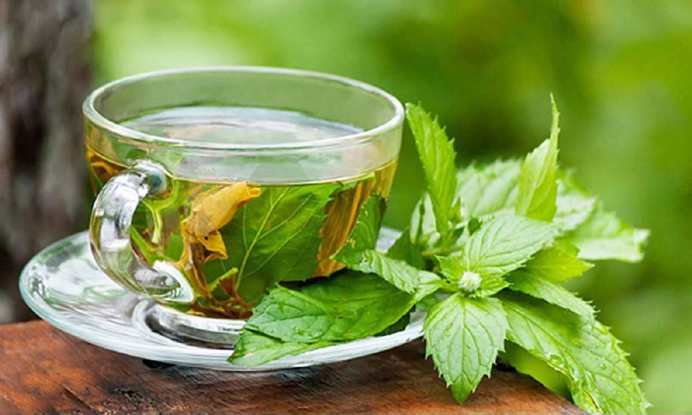 الشاي الأخضر مكوناته تحافظ على القدمين والجسم دافئ