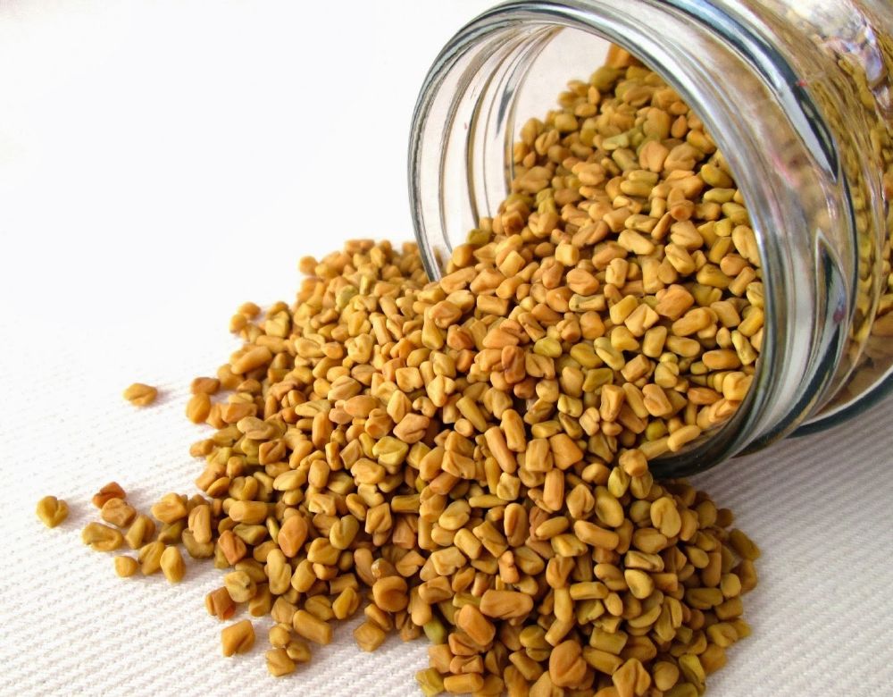 الحلبة تقضي على التجاعيد الموجودة بالشعر