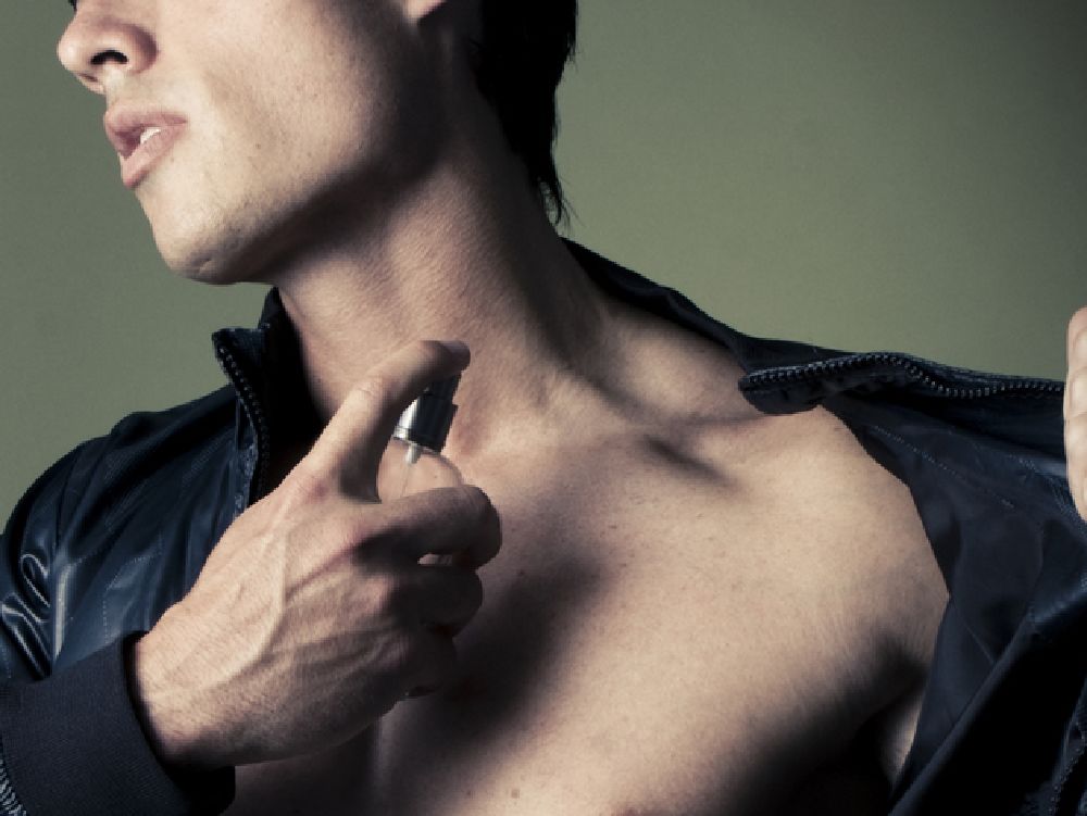 عود ملكي من شوبارد