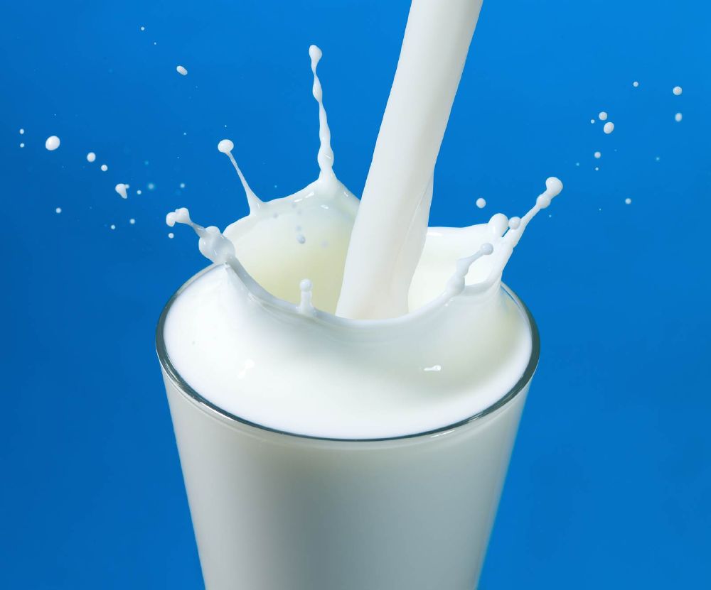 لبن الأغنام يقوي العضلات ويكافح السرطان