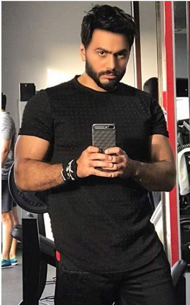 تامر حسني