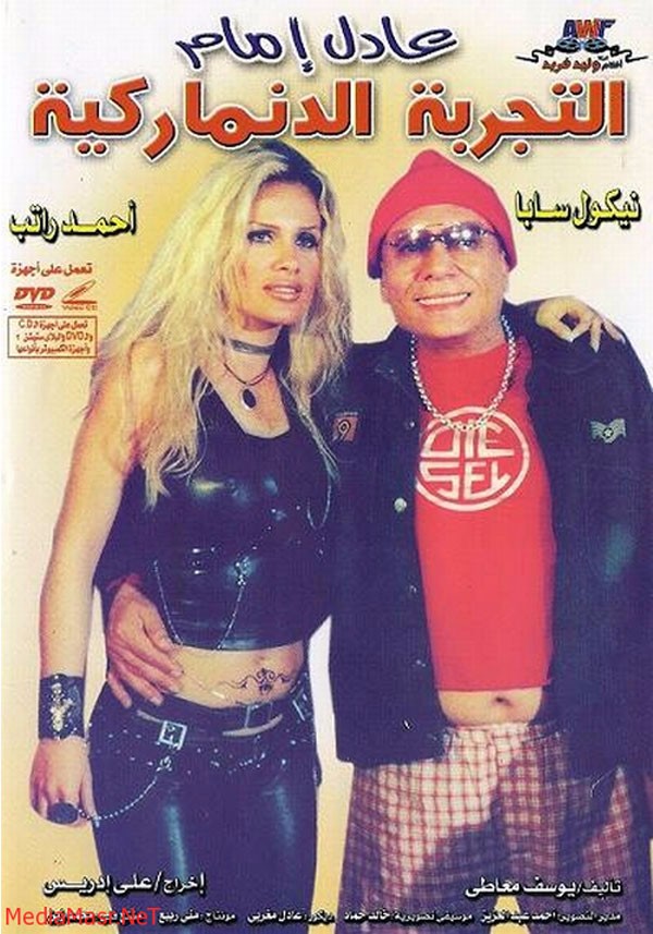 فيلم التجربة الدنماركية