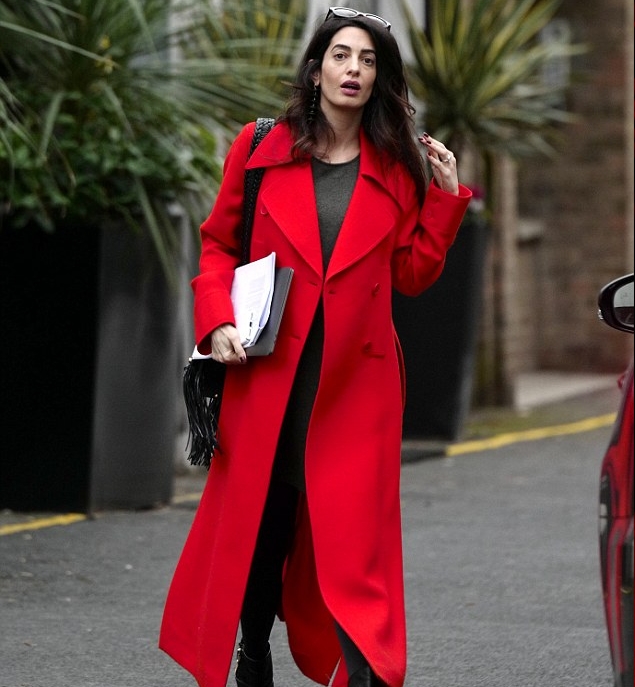 أمل كلوني محامية دولية تتولى الدفاع عن قضايا حقوق الإنسان