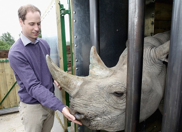 الأمير وليام في طليعة الحملة الدولية من أجل وضع حد لتجارة العاج