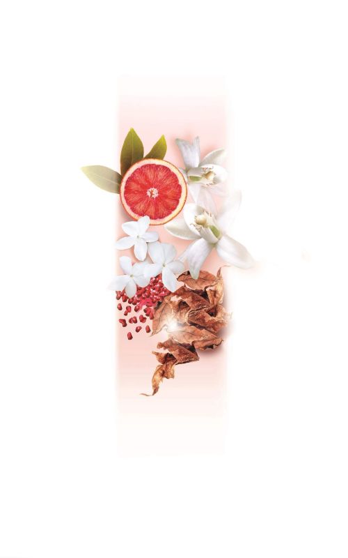 مجموعة ELIE SAAB Le Parfum تضم تشكيلة من أزهار الفل البيضاء وزهر الليمون المنعش