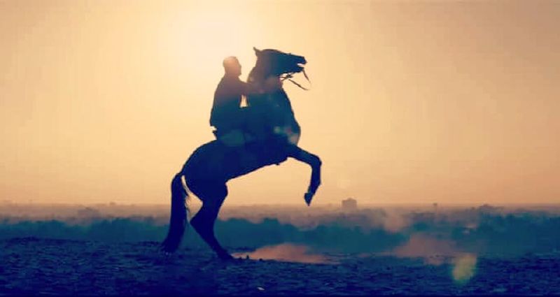 مسلسل الحصان الأسود لأحمد السقا وصلت إلى 80 مليون جنيه