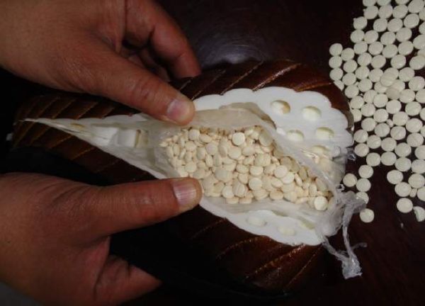 إحباط تهريب 135 ألف حبة كبتاجون بجمرك مطار الملك خالد