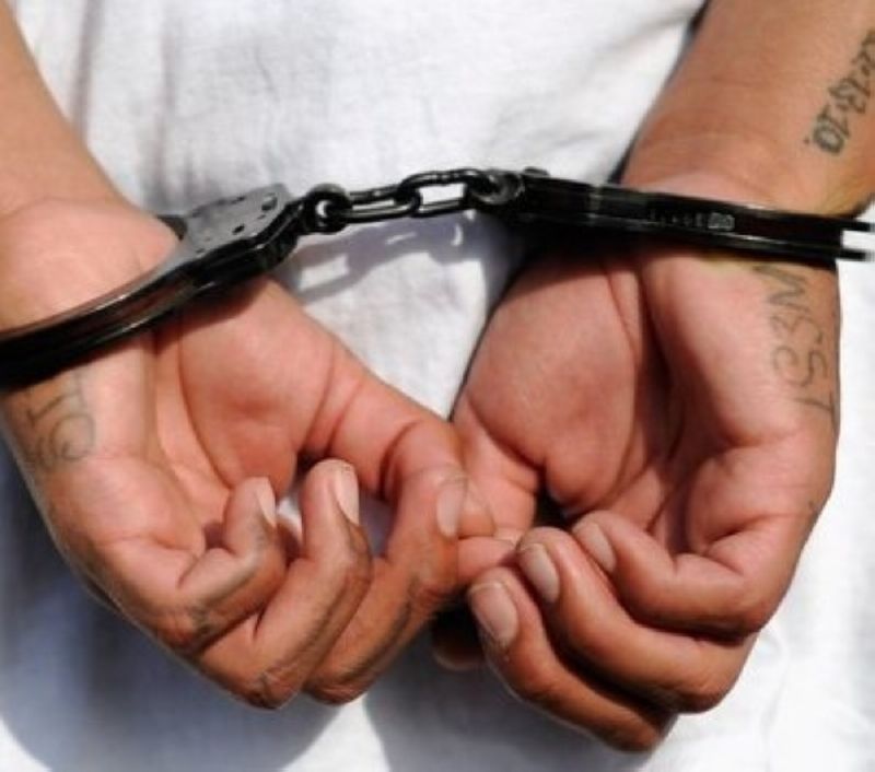 حارق سيارات