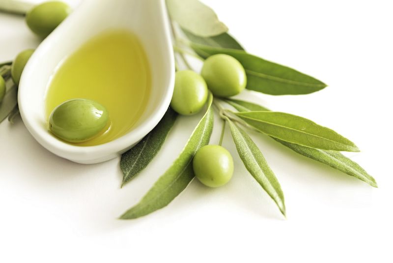 زيت الزيتون تساعد الناس على الوصول إلى 100 سنة