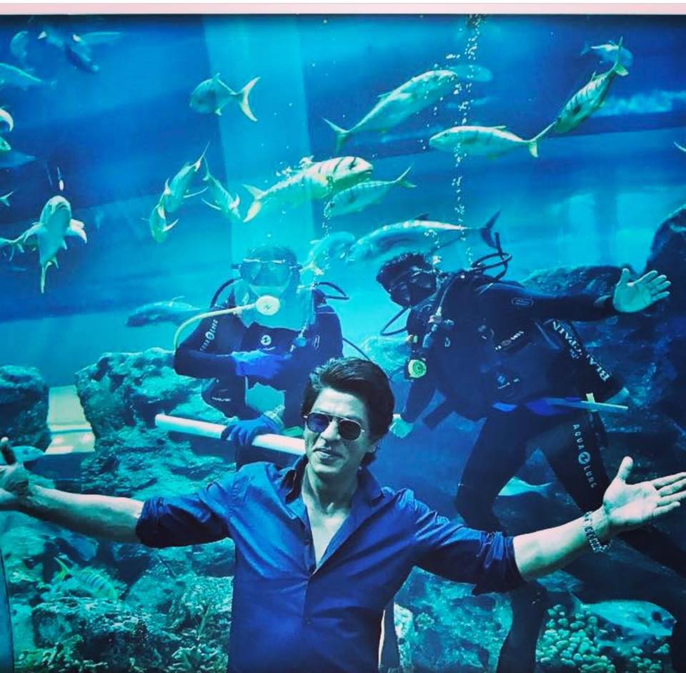 شاروخان أثناء زيارته حوض السمك في دبي