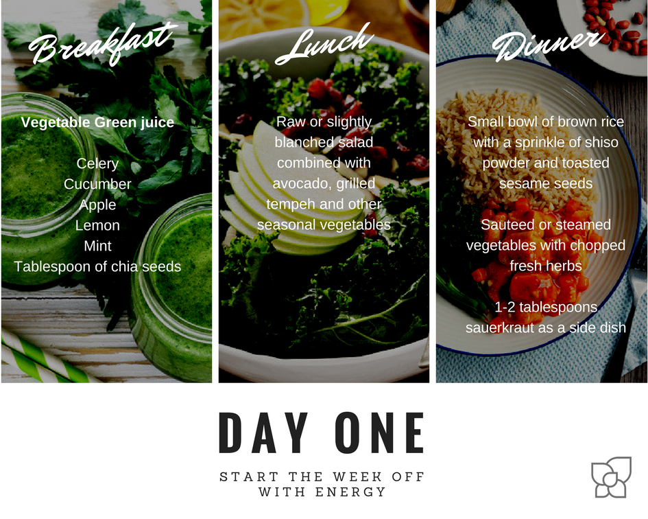 SHA ALKALINE DIET DAY 1