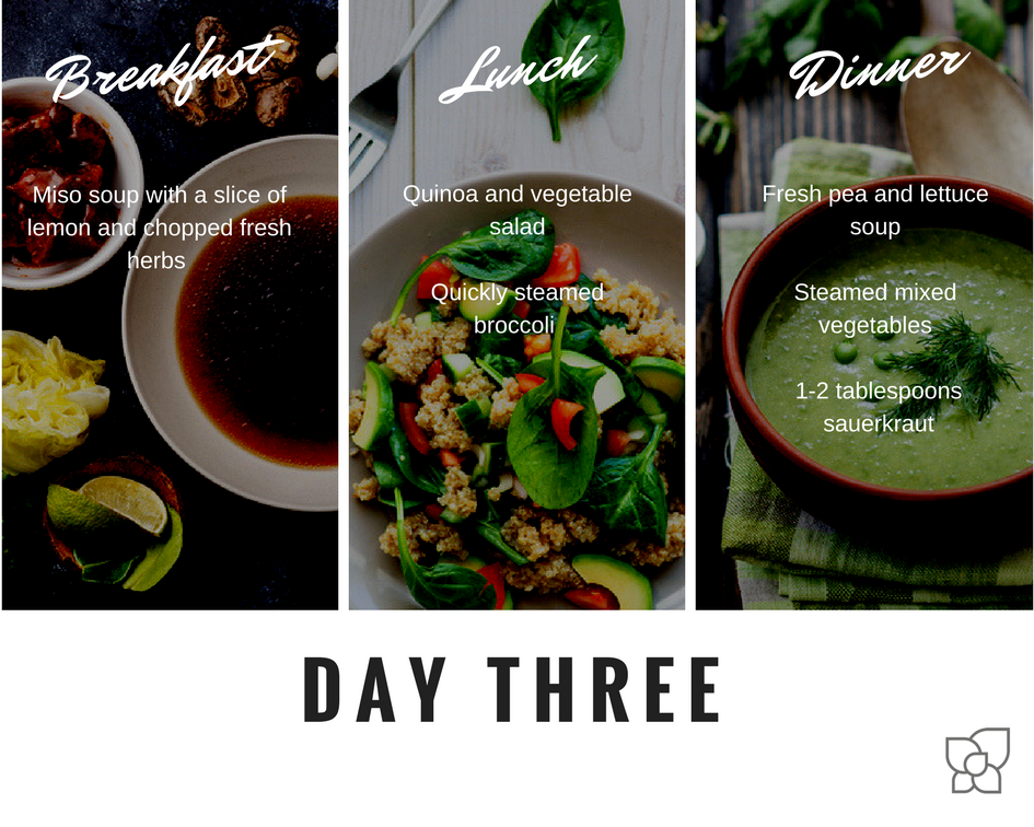 SHA ALKALINE DIET DAY 3