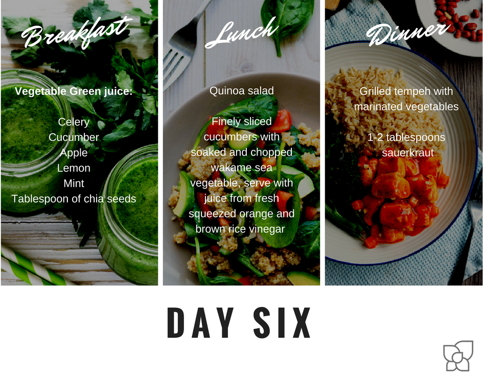 SHA ALKALINE DIET DAY 6