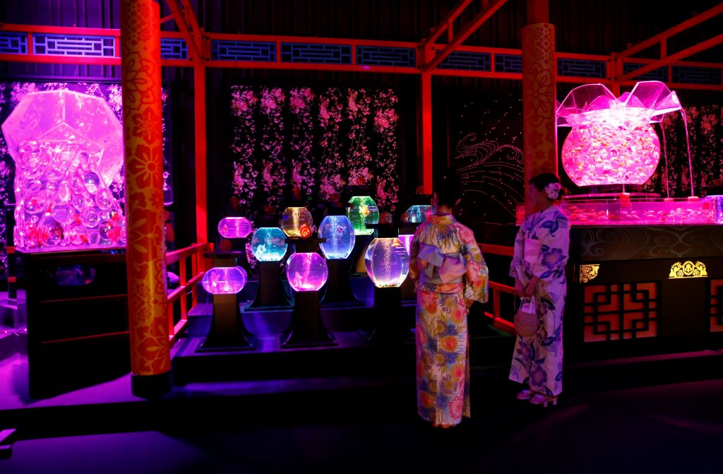 اليابان-تعرض-8000-سمكة-ذهبية-بعرض-الاسماك