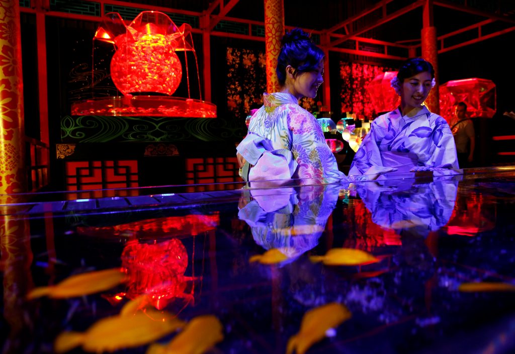 اليابان-تعرض-8000-سمكة-ذهبية-بعرض-الاسماك