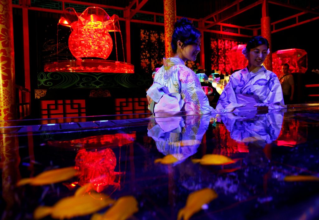 اليابان-تعرض-8000-سمكة-ذهبية-بعرض-الاسماك