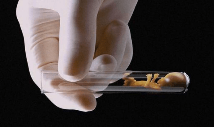 من-هو-أول-طفل-انابيب-في-العالم-؟- (2)