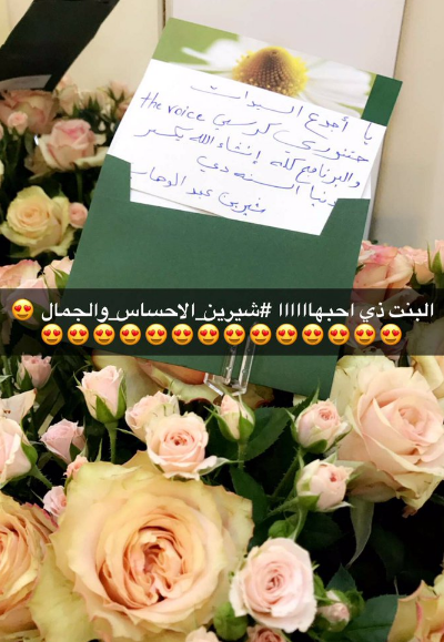 الفنانة أحلام