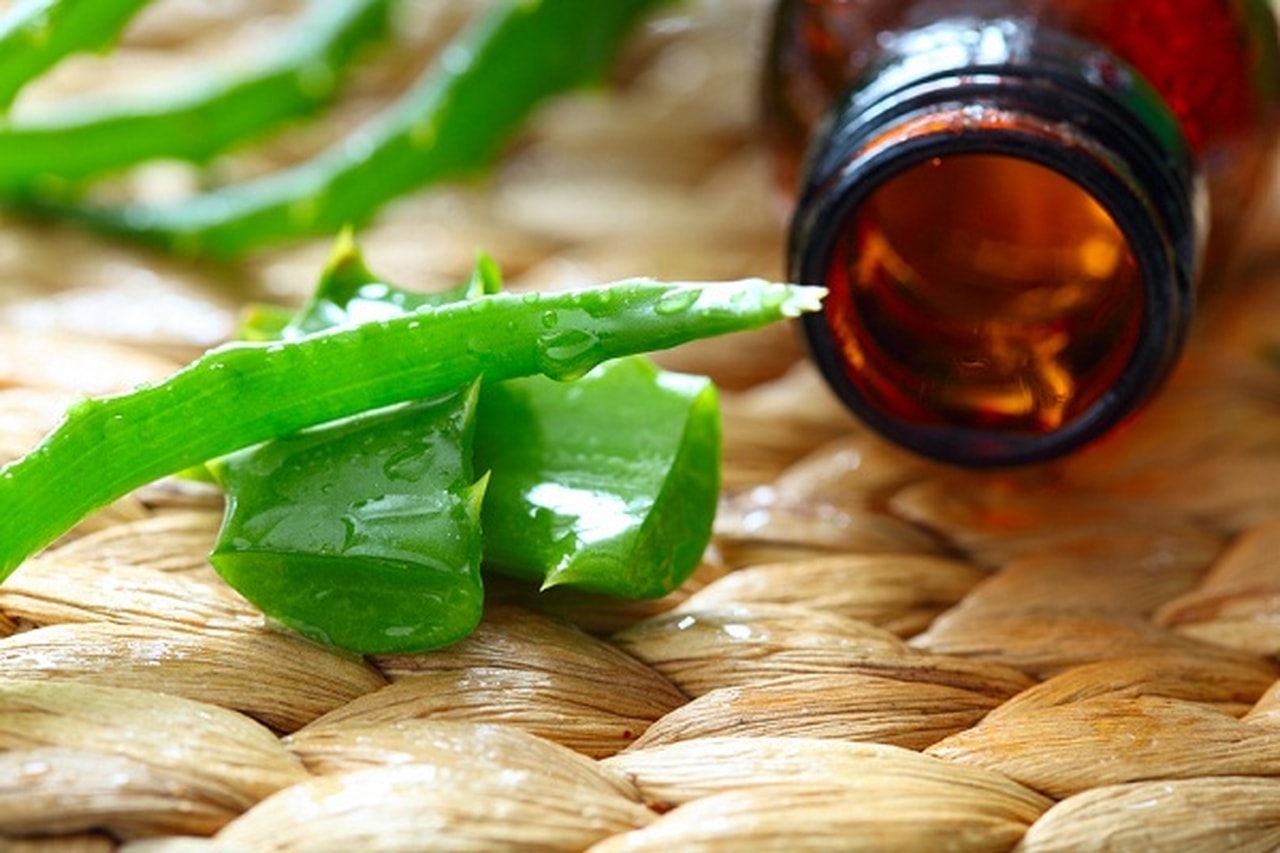 ماسك الصبار