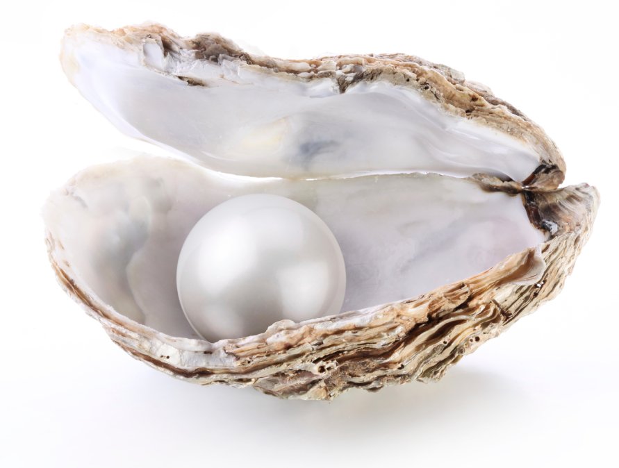 استخراج حجر اللؤلؤ