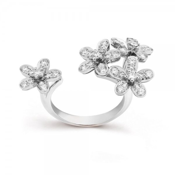 فان-كليف-اند-اربلز