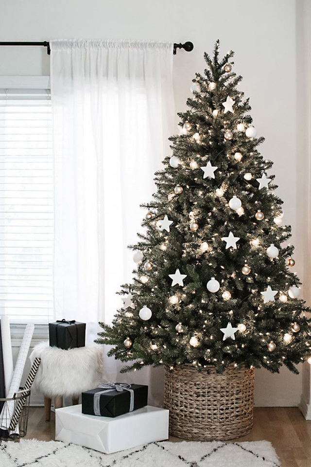 شجرة-بالنجوم