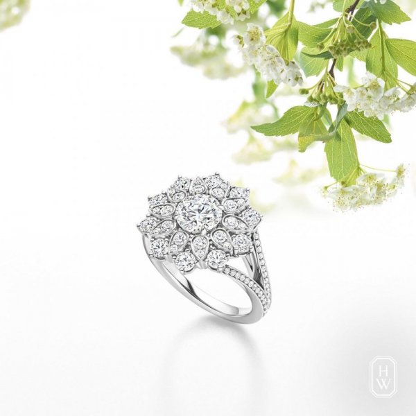 هاري-ونستون