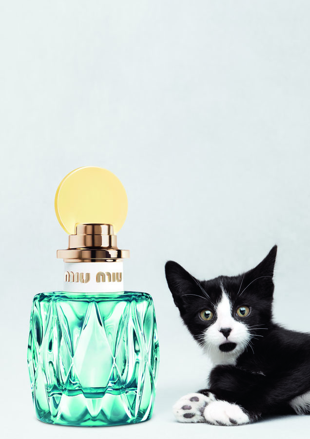 عطر Miu Miu