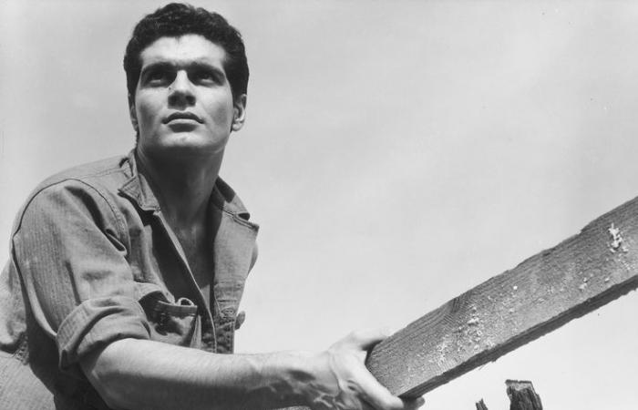 النجم-المصري