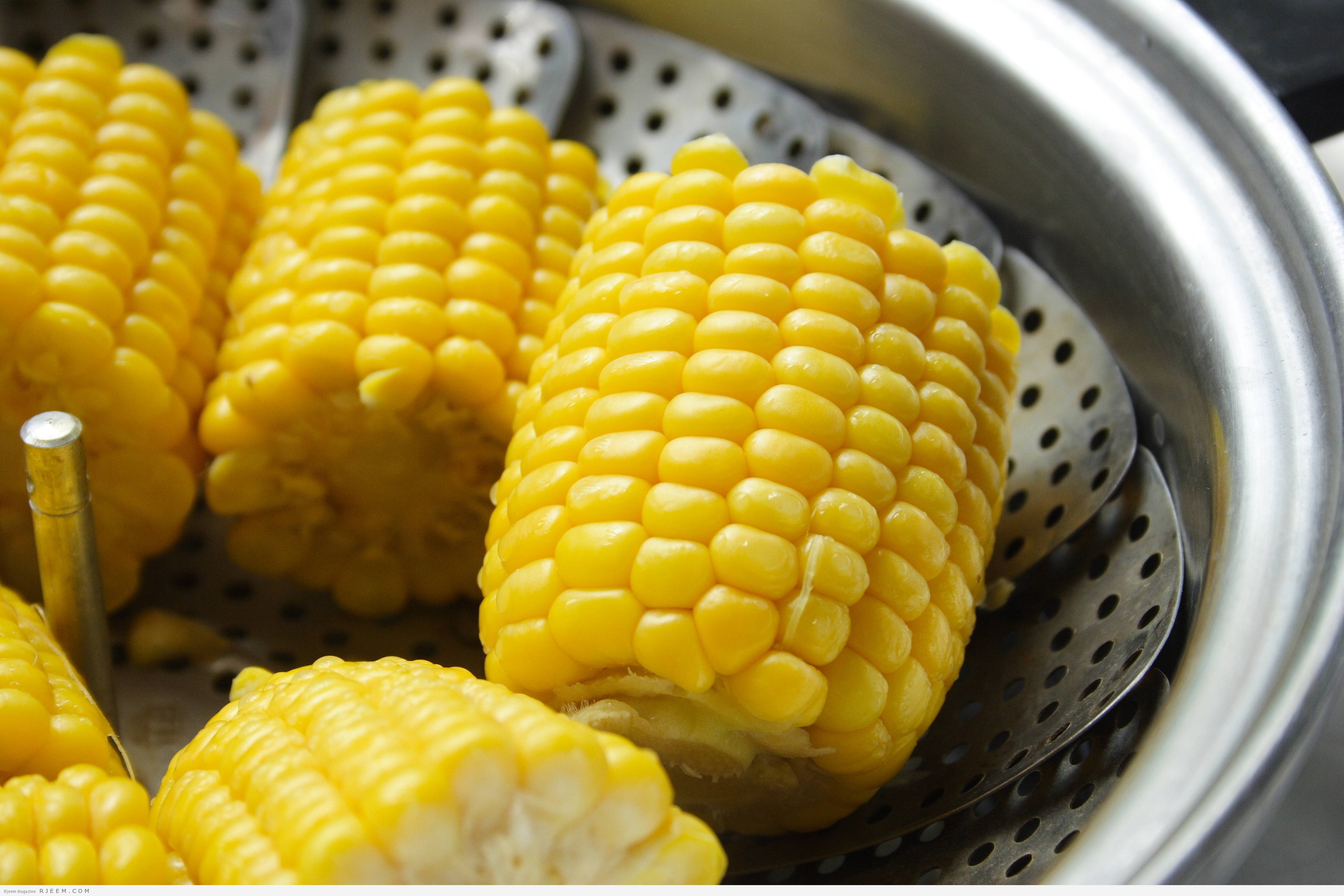 Corn note. Вареная кукуруза. Кукуруза початок. Початок вареной кукурузы. Кукуруза отварная.
