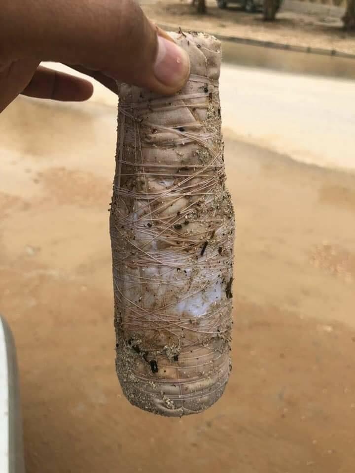 سحر-عمان