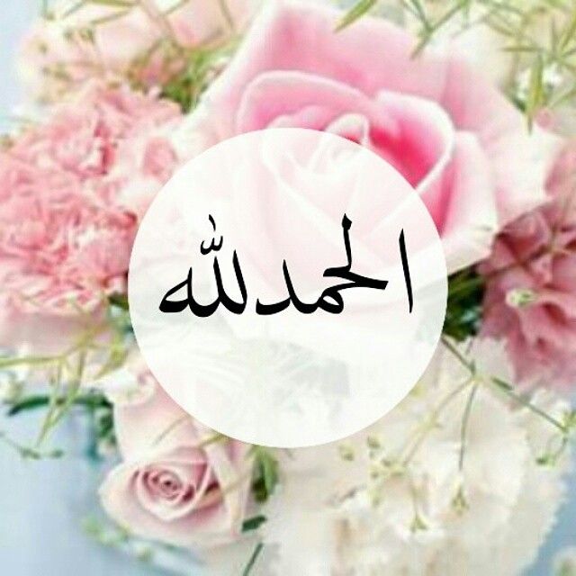 اختيارات محاور المشاهير عدنان الكاتب