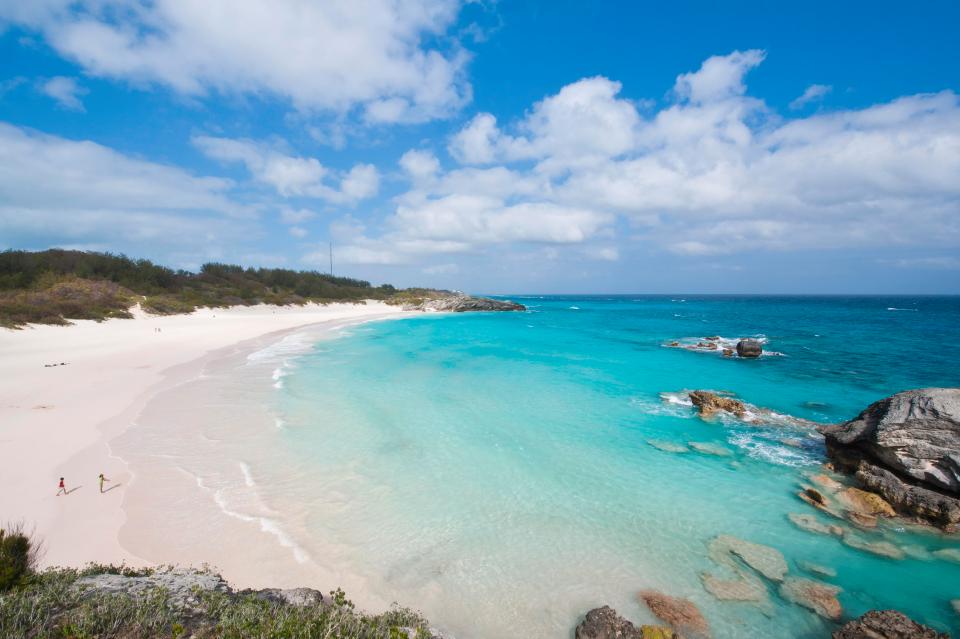 خليج هورسشو، برمودا