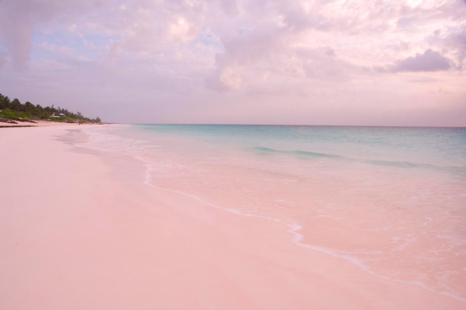شاطئ بينك ساندز، جزر الباهاما