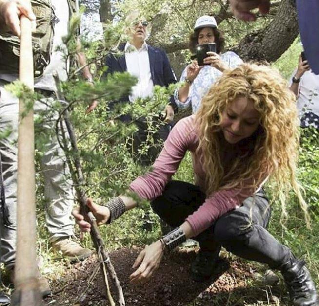 الفنانة-شاكيرا