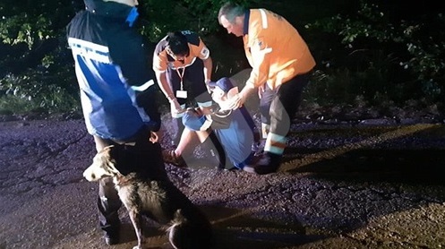 كلب ضال ينقذ حياة رجل مصاب