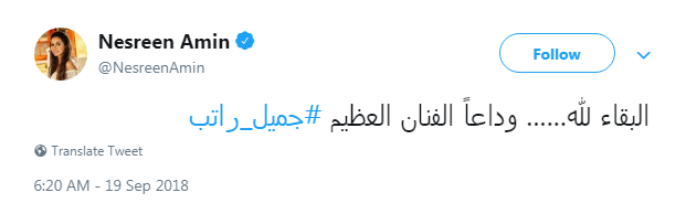 نسرين-أمين