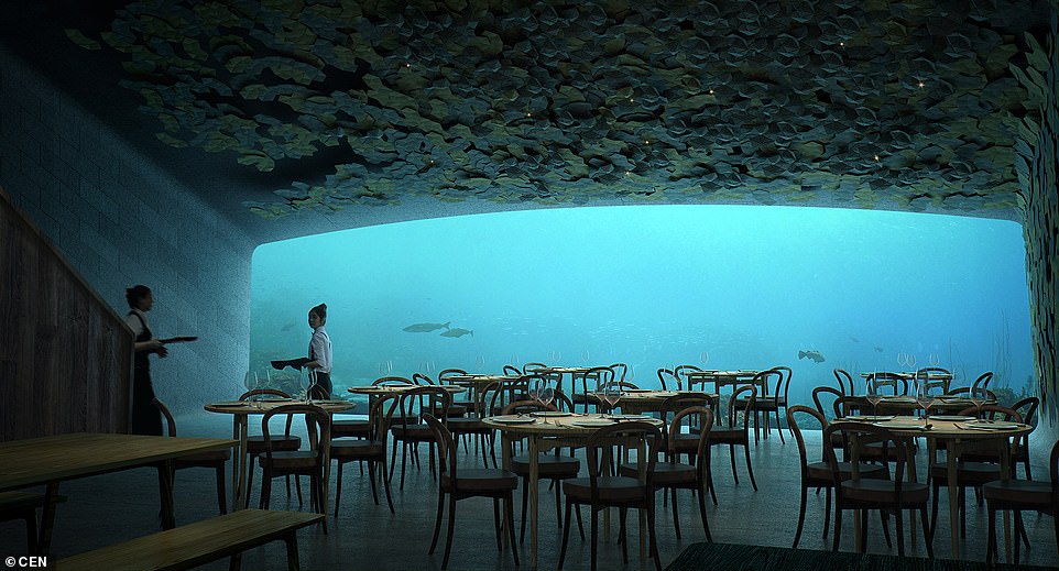 افتتاح أكبر مطعم تحت الماء
