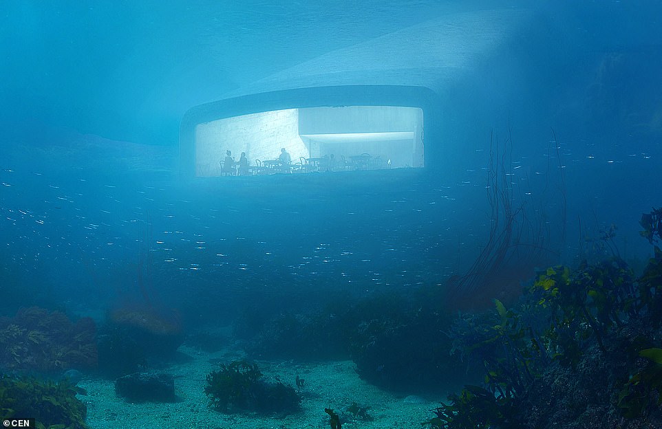 افتتاح أكبر مطعم تحت الماء