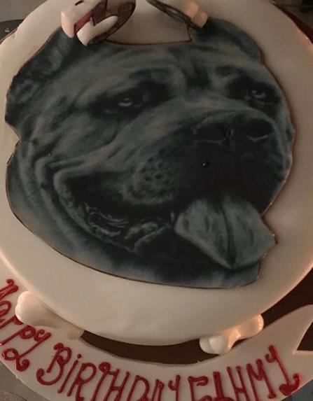 كعكة-عيد-ميلاد-احمد-فهمي-تحمل-صورة-كلبه