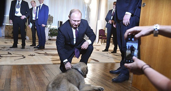 بالفيديو والصور.. الرئيس الصربي يقدم هدية غير متوقعة لـ بوتين